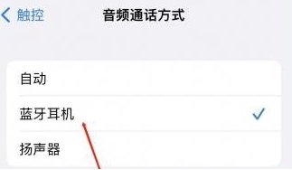 淄博苹果蓝牙维修店分享iPhone设置蓝牙设备接听电话方法
