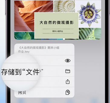 淄博apple维修中心分享iPhone文件应用中存储和找到下载文件