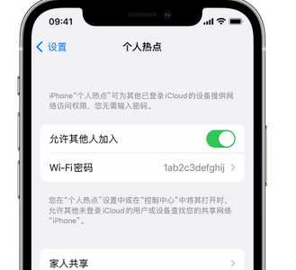 淄博apple服务站点分享iPhone上个人热点丢失了怎么办 