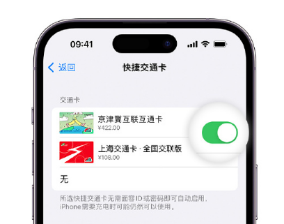 淄博apple维修点分享iPhone上更换Apple Pay快捷交通卡手绘卡面 