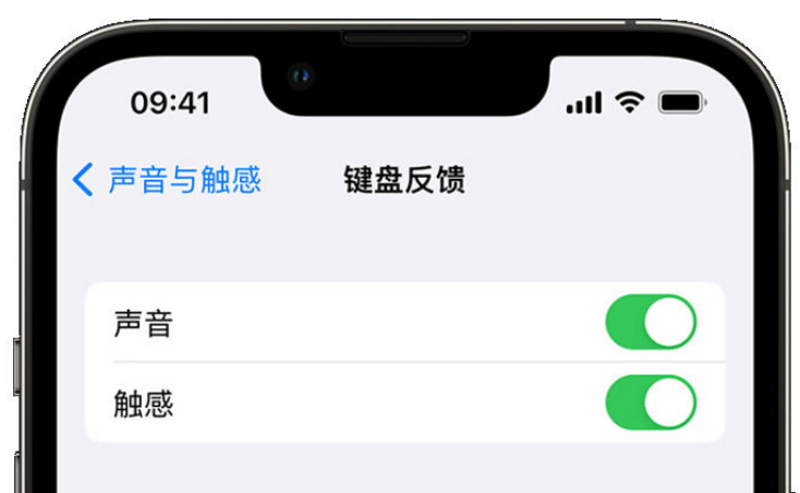 淄博苹果手机维修分享iPhone 14触感键盘使用方法 