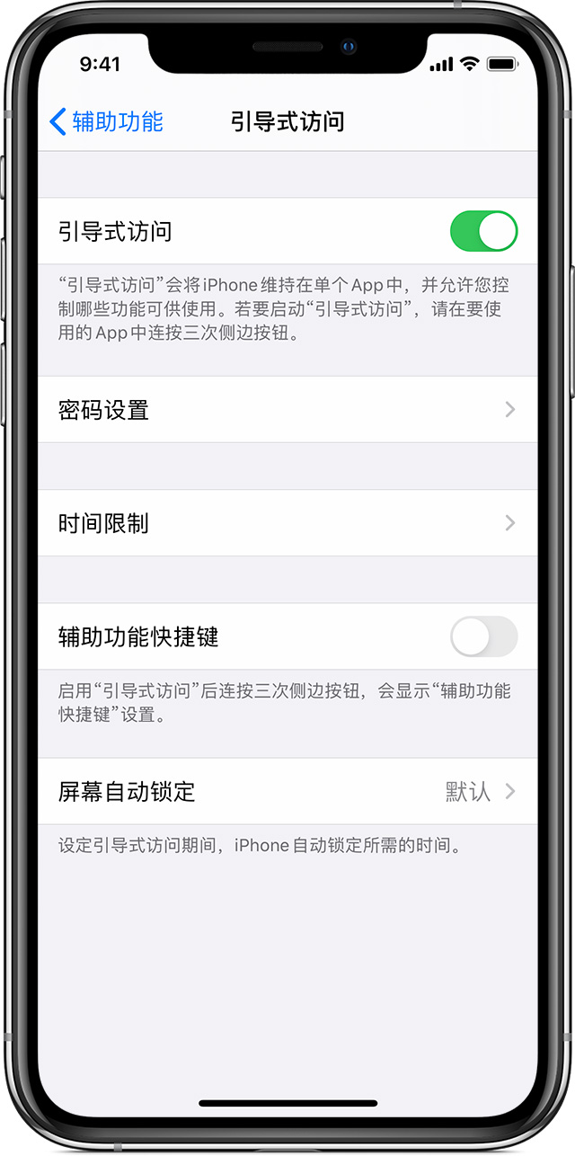 淄博苹果手机维修分享如何在 iPhone 上退出引导式访问 