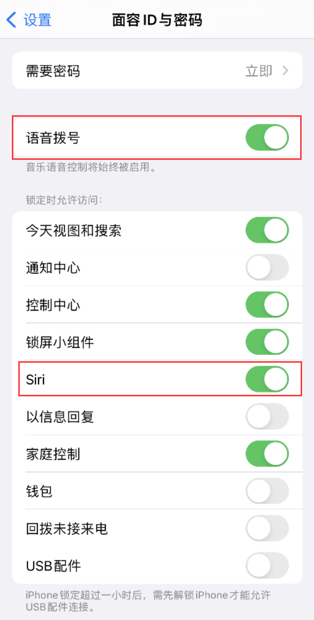 淄博苹果维修网点分享不解锁 iPhone 的情况下通过 Siri 拨打电话的方法 