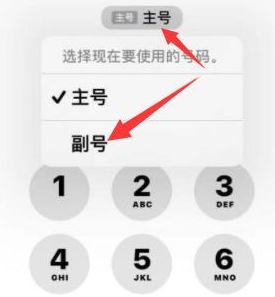 淄博苹果14维修店分享iPhone 14 Pro Max使用副卡打电话的方法 