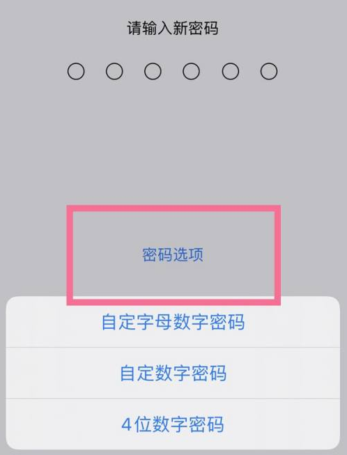 淄博苹果14维修分享iPhone 14plus设置密码的方法 