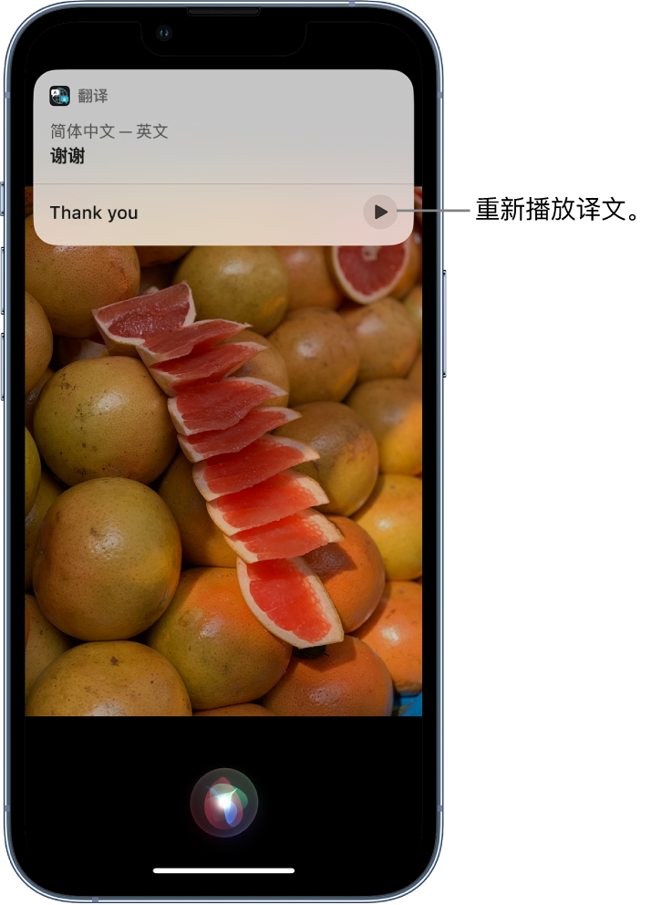 淄博苹果14维修分享 iPhone 14 机型中使用 Siri：了解 Siri 能帮你做什么 
