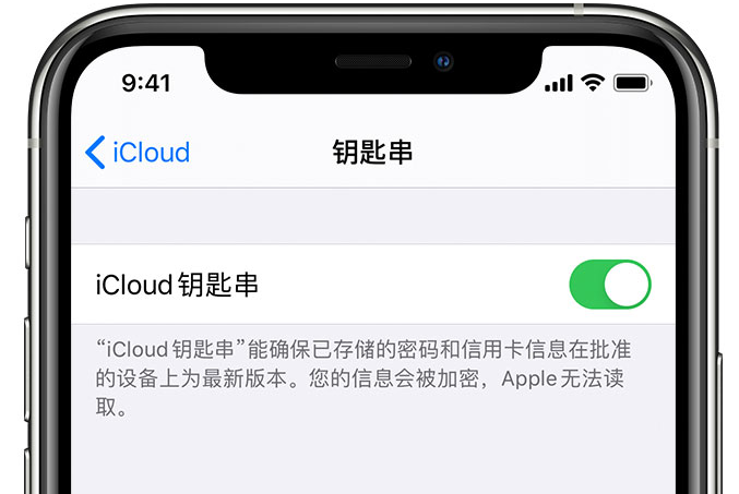 淄博苹果手机维修分享在 iPhone 上开启 iCloud 钥匙串之后会储存哪些信息 