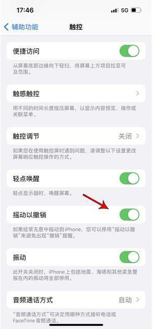 淄博苹果手机维修分享iPhone手机如何设置摇一摇删除文字 