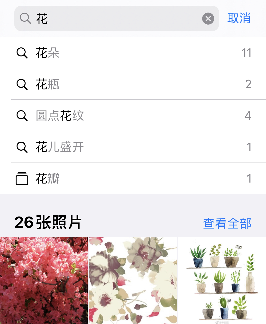 淄博苹果手机维修分享iPhone 小技巧 