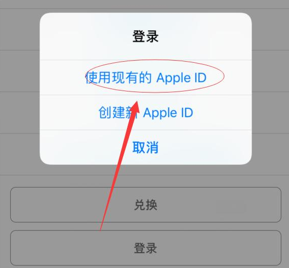 淄博苹果手机维修分享两台iPhone设备可以同时登录一个Apple ID吗 