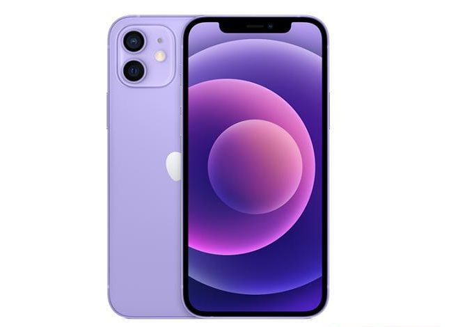 淄博苹果手机维修分享现阶段要不要入手紫色版iPhone12 