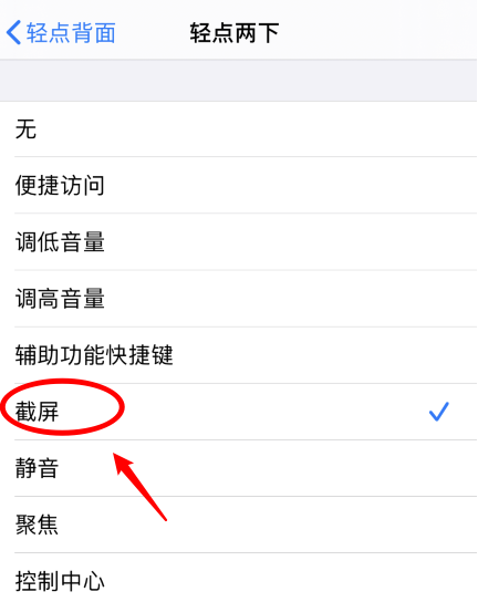 淄博苹果手机维修分享iPhone12如何启用双击截屏 