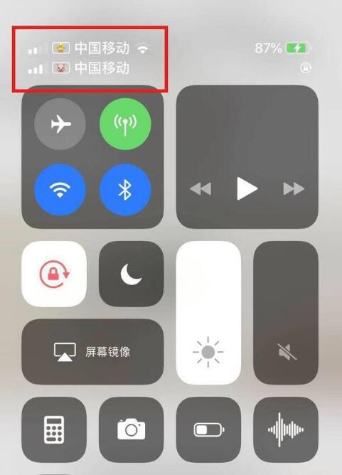 淄博苹果手机维修分享为 iPhone 12 双卡设置标签 