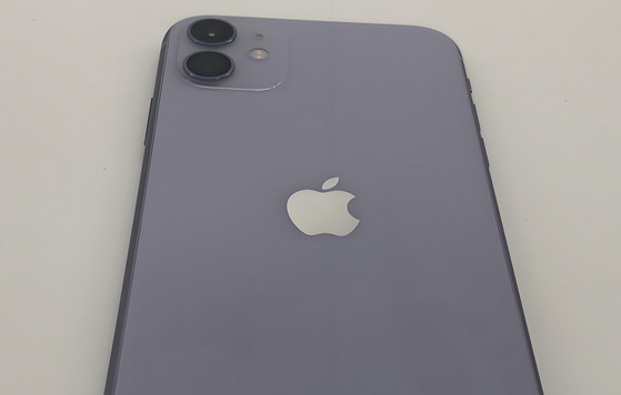 淄博苹果11系统维修分享iPhone11手机系统崩溃无法开机如何解决 